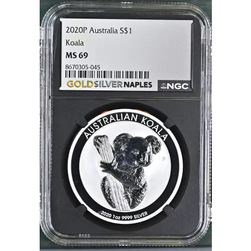 2020P Koala (2)