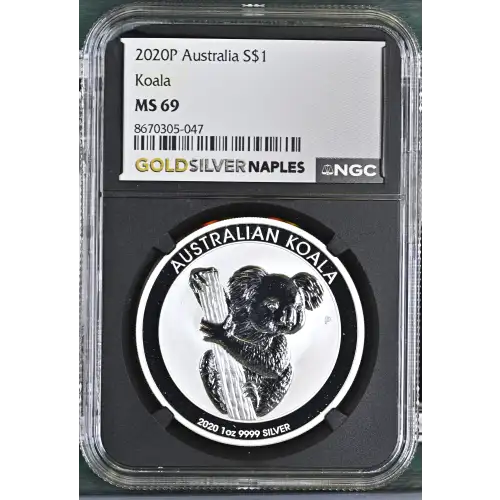 2020P Koala (2)
