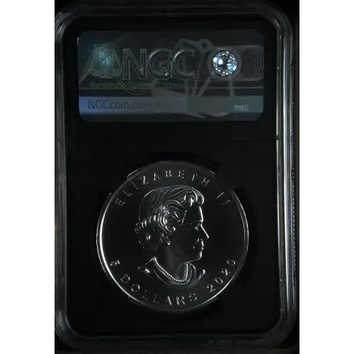 2020W 1oz Burnished Maple Leaf First Releases (3)