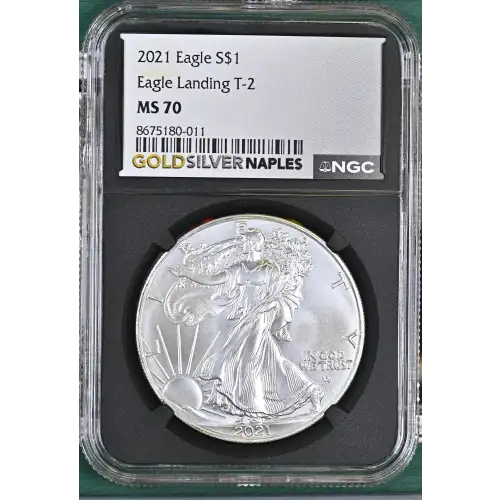 2021 Eagle Landing T-2 (2)