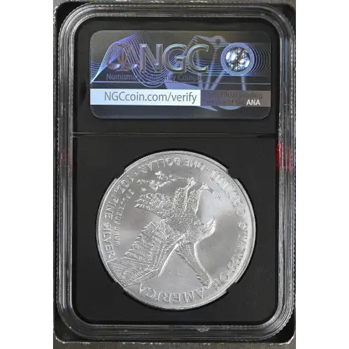 2021 Eagle Landing T-2 (3)