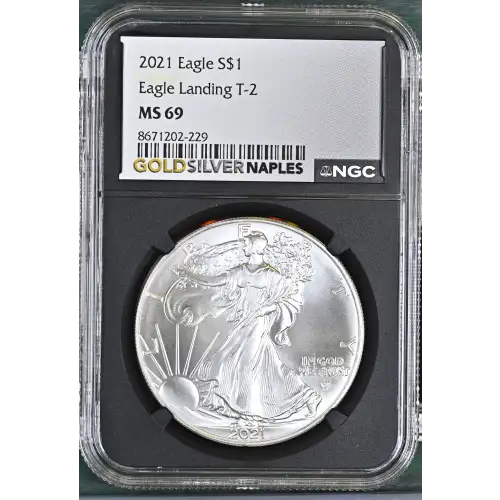 2021 Eagle Landing T-2 (2)