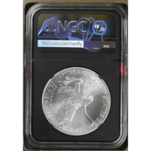 2021 Eagle Landing T-2 (3)