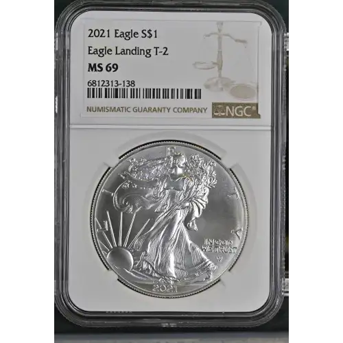 2021 Eagle Landing T-2 (2)