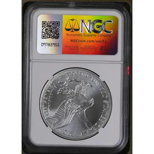 2021 Eagle Landing T-2 (3)