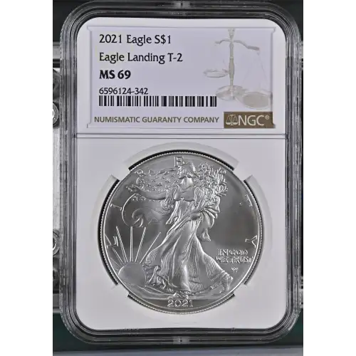 2021 Eagle Landing T-2 (2)