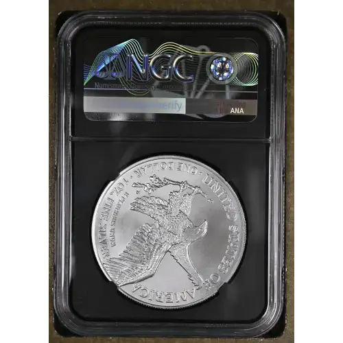 2021 Eagle Landing T-2 Early Releases (3)