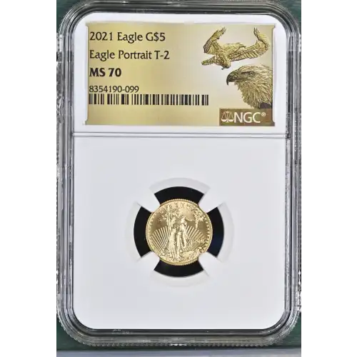 2021 Eagle Portrait T-2 (2)