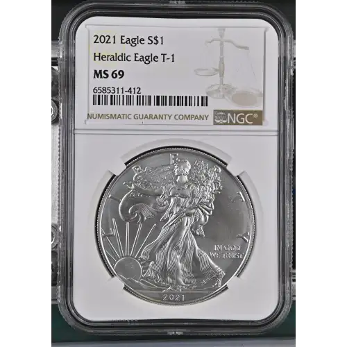 2021 Heraldic Eagle T-1 (2)