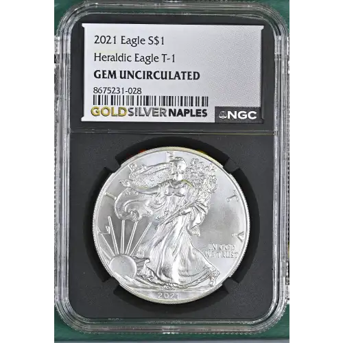 2021 Heraldic Eagle T-1 (2)