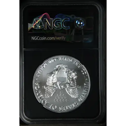 2021 Heraldic Eagle T-1 Early Releases (3)