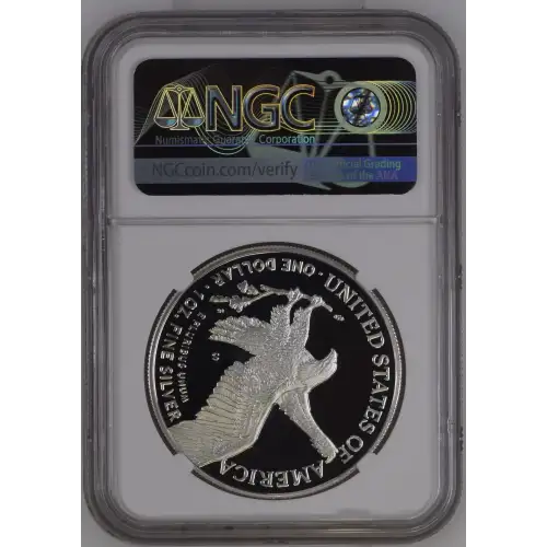 2021 S Eagle Landing T-2 ULTRA CAMEO (3)