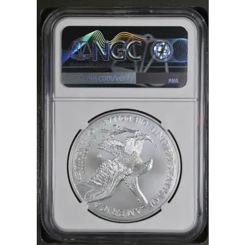 2021 W Eagle Landing T-2 First Day of Issue Burnished Silver Eagle (3)