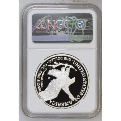 2021 W Eagle Landing T-2 First Releases ULTRA CAMEO (3)