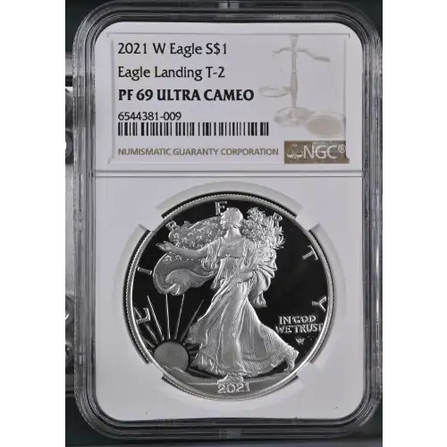 2021 W Eagle Landing T-2 ULTRA CAMEO (2)
