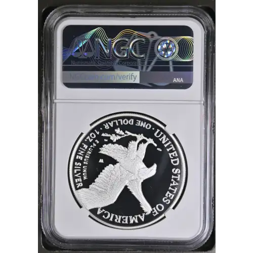 2021 W Eagle Landing T-2 ULTRA CAMEO (3)