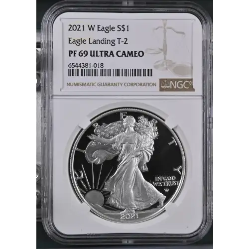 2021 W Eagle Landing T-2 ULTRA CAMEO (2)