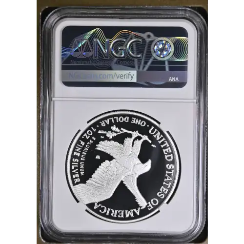 2021 W Eagle Landing T-2 ULTRA CAMEO (3)
