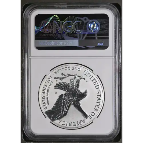 2021 W Heraldic Eagle T-1 Silver Design Set (3)