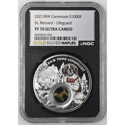 2021MW Cameroon St. Bernard - Lifeguard PF 70 UC