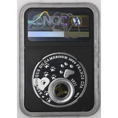 2021MW Cameroon St. Bernard - Lifeguard PF 70 UC (2)