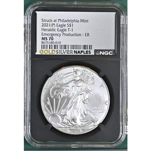 2021(P) Heraldic Eagle T-1 - ER Emergency Production Struck at Philadelphia (2)