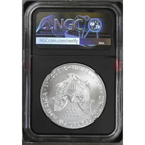 2021(P) Heraldic Eagle T-1 - ER Emergency Production Struck at Philadelphia (3)