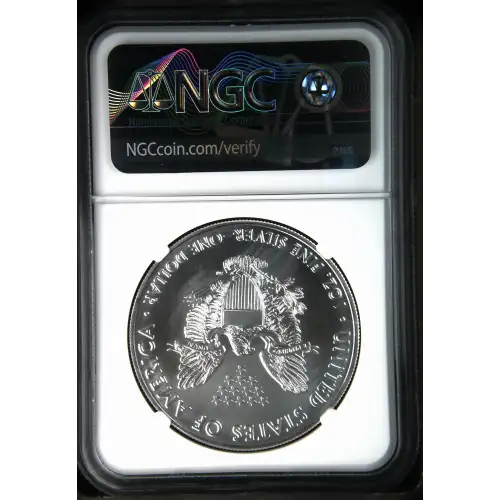 2021(P) Heraldic Eagle T-1 First Day of Issue Struck at Philadelphia (3)
