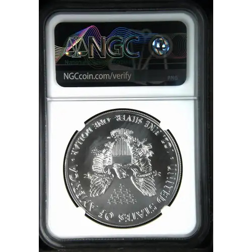 2021(P) Heraldic Eagle T-1 First Day of Issue Struck at Philadelphia (3)
