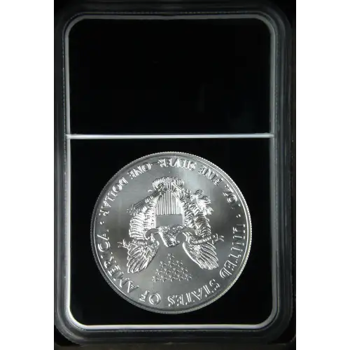 2021(P) Heraldic Eagle T-1 Struck at Philadelphia (3)