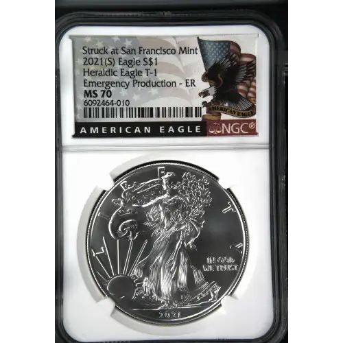 2021(S) Heraldic Eagle T-1 Emergency Production-ER Struck at San Francisco (2)