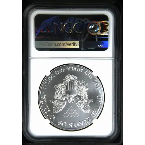 2021(S) Heraldic Eagle T-1 Emergency Production-ER Struck at San Francisco (3)