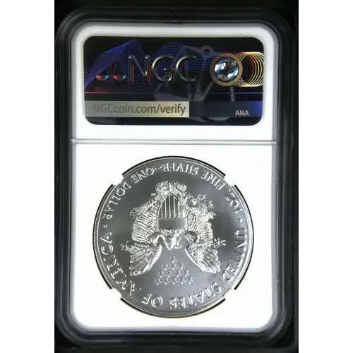 2021(S) Heraldic Eagle T-1 - FDI Emergency Production Struck at San Francisco (3)