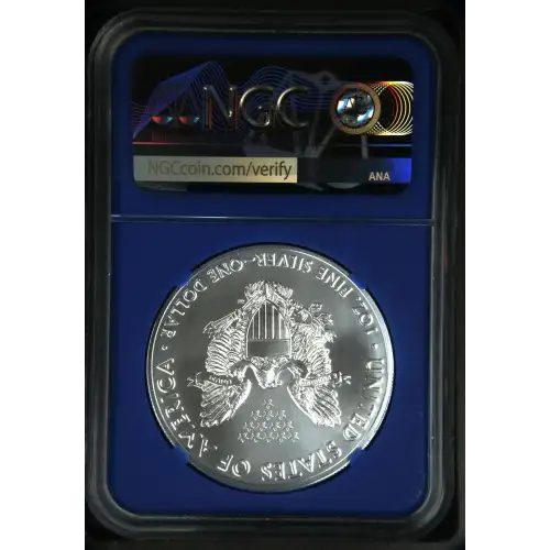 2021(S) Heraldic Eagle T-1 - FDI Emergency Production Struck at San Francisco (3)