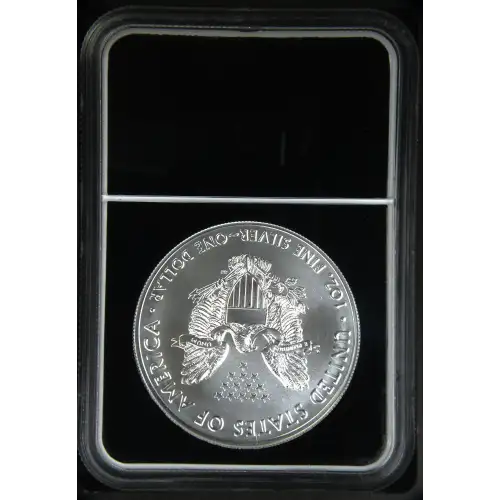 2021(S) Heraldic Eagle T-1 Struck at San Francisco (3)