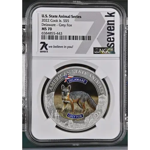 2022 Delaware - Grey Fox U.S. State Animal Series (2)