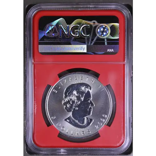 2022 Maple Leaf First Releases (3)