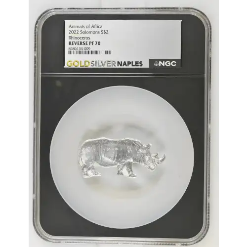 2022 Rhinoceros Animals of Africa (2)