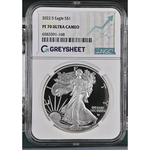 2022 S  ULTRA CAMEO (2)
