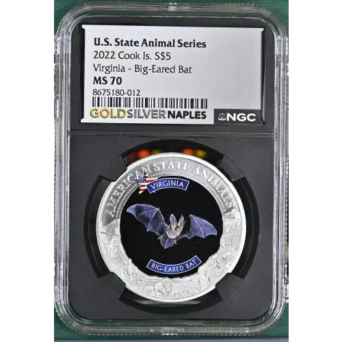 2022 Virginia - Big-Eared Bat U.S. State Animal Series (2)