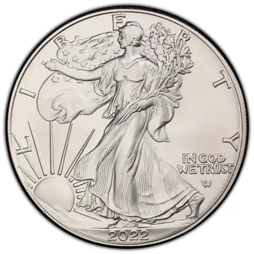 2022-W $1 Burnished Silver Eagle First Strike (3)