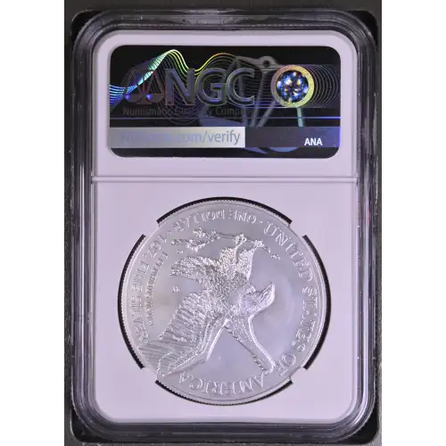 2022 W Advance Releases Burnished Silver Eagle (3)