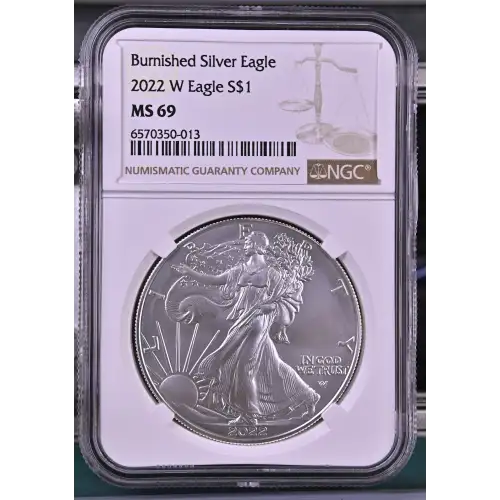 2022 W Burnished Silver Eagle (2)