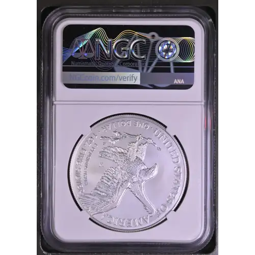 2022 W Burnished Silver Eagle (3)