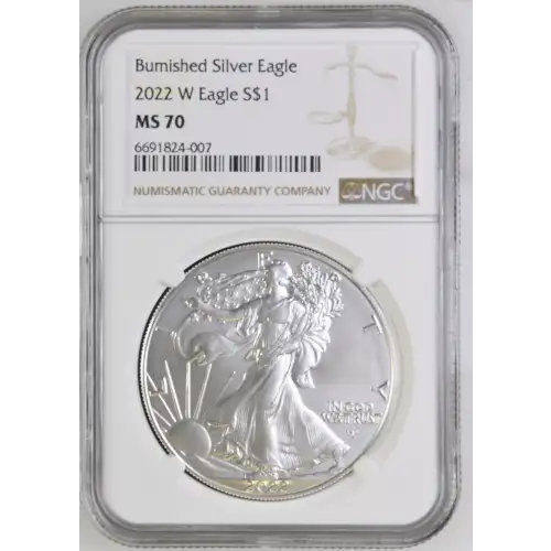 2022 W Burnished Silver Eagle (2)