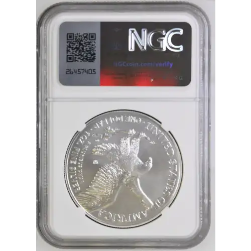 2022 W Burnished Silver Eagle (3)