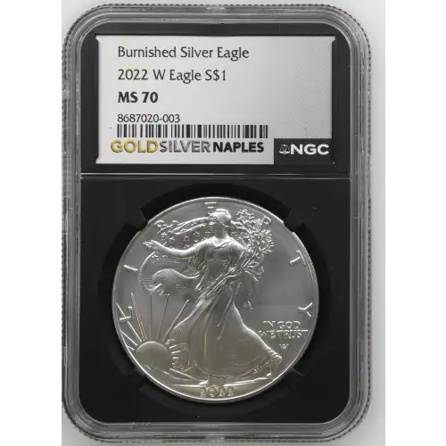 2022 W Burnished Silver Eagle (2)