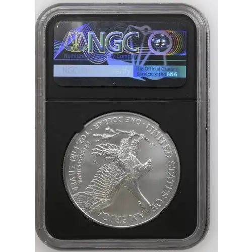 2022 W Burnished Silver Eagle (3)
