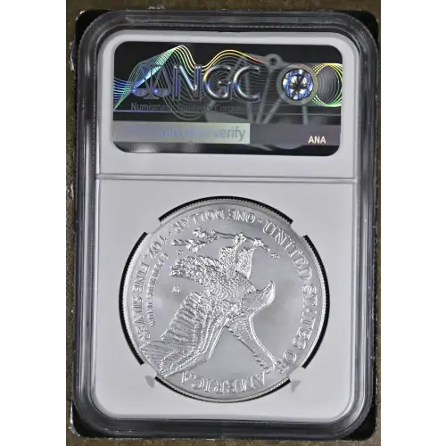 2022 W Early Releases Burnished Silver Eagle (3)
