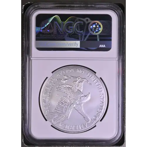 2022 W Early Releases Burnished Silver Eagle (3)